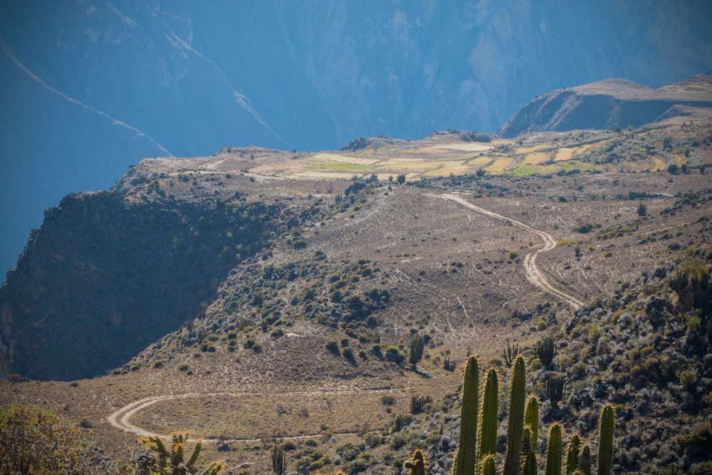cruz del condor