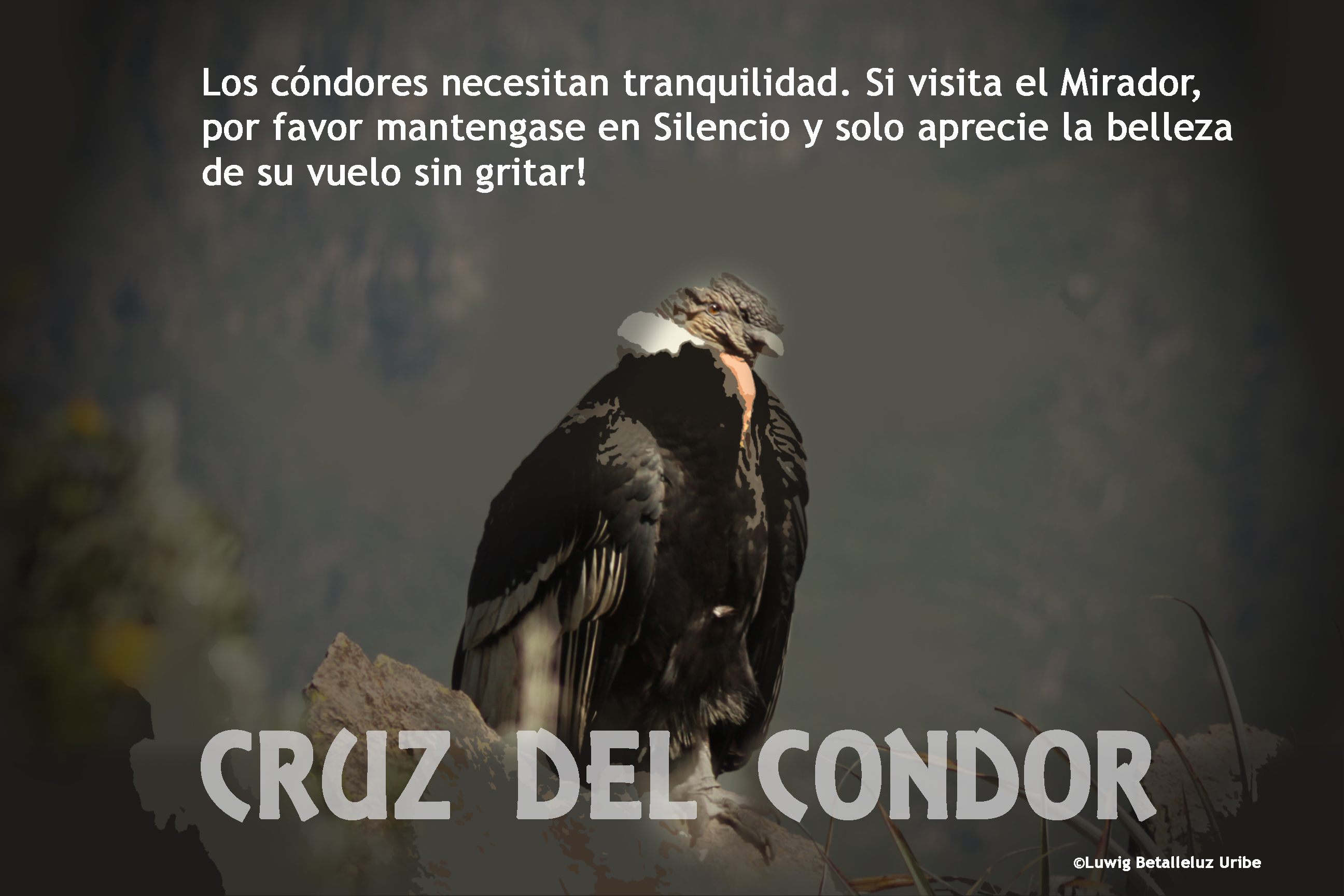 cruz del condor
